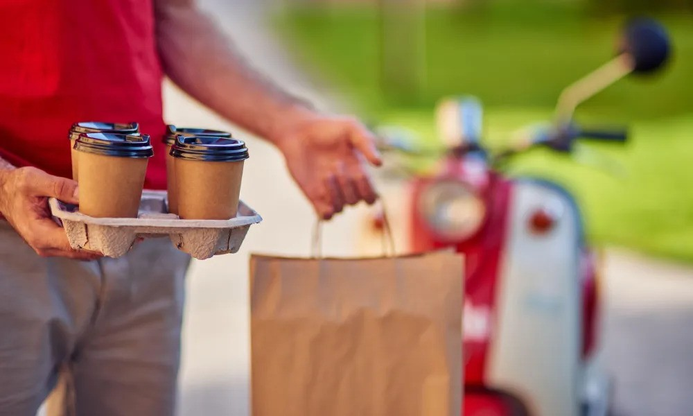 Delivery bag
